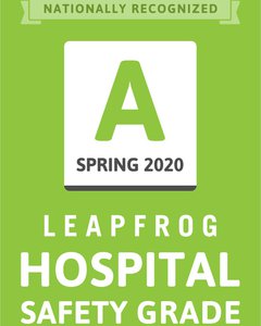 Leapfrog A - Spring '20